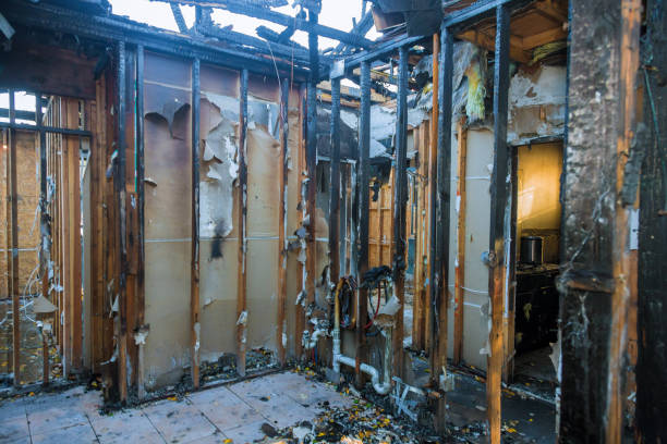 Professional Fire Damage Assessment technician working in Newnan, GA